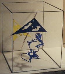 CUBUS2